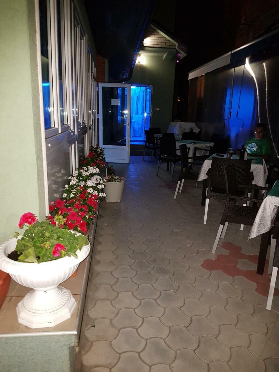 Golden Danube Bed & Breakfast Veliko Gradiste Exterior photo